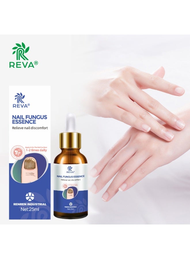 ريفا محلول ريفا لعلاج فطريات الأظافر ومضاد للبكتيريا: إصلاح احترافي موجه، اختراق عميق، يحسن مشاكل فطريات الأظافر (30 مل) - Image 3